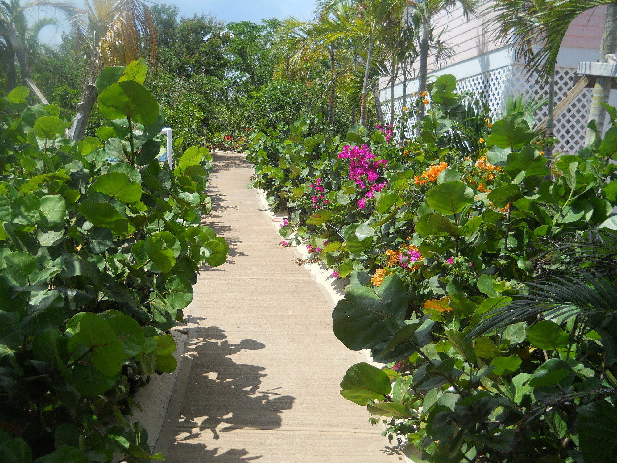 Harbor Breeze Villas Clarence Town Eksteriør billede